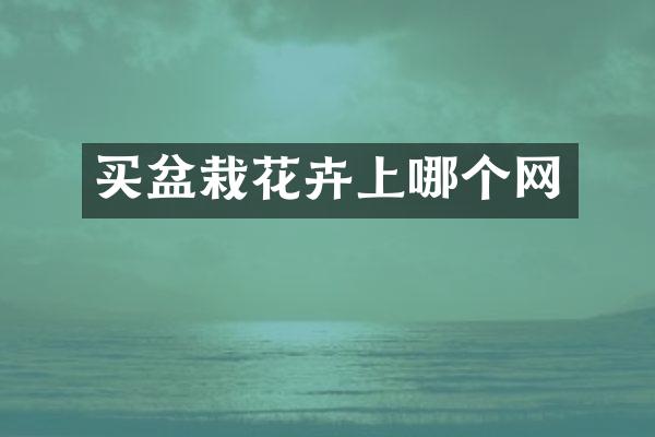买盆栽花卉上哪个网