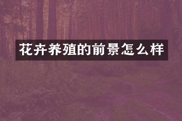 花卉养殖的前景怎么样