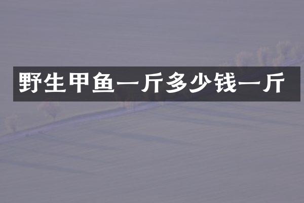 野生甲鱼一斤多少钱一斤