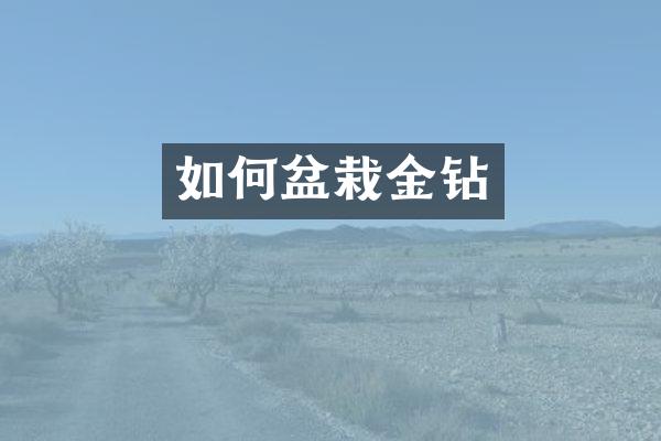 如何盆栽金钻