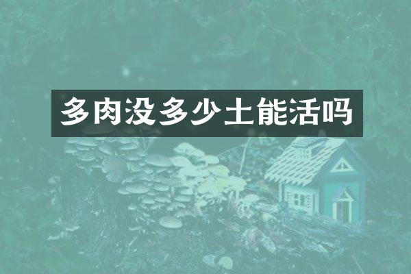 多肉没多少土能活吗