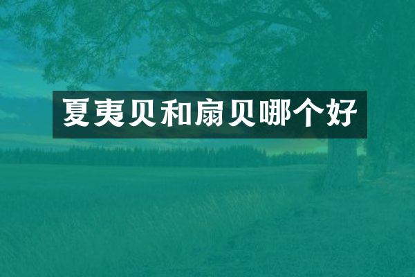 夏夷贝和扇贝哪个好