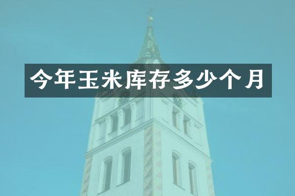 今年玉米库存多少个月