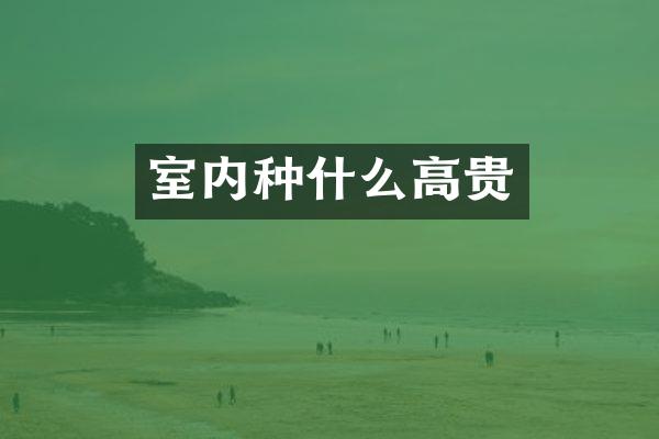 室内种什么高贵