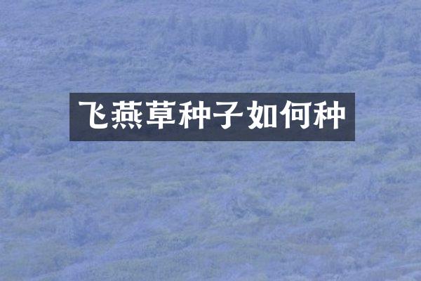 飞燕草种子如何种
