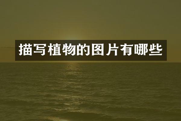 描写植物的图片有哪些