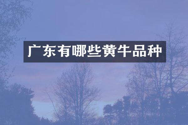 广东有哪些黄牛品种