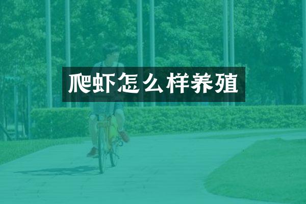 爬虾怎么样养殖
