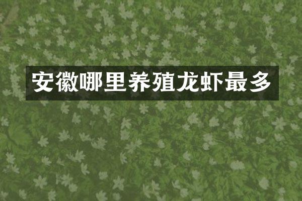 安徽哪里养殖龙虾最多