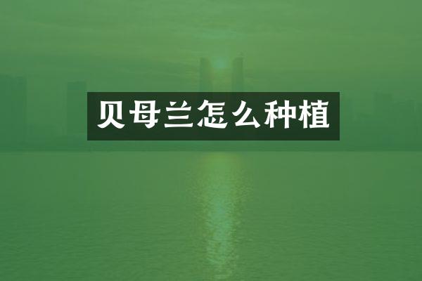贝母兰怎么种植