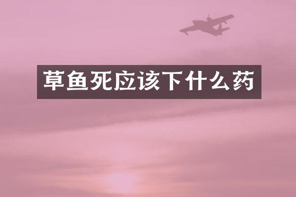 草鱼死应该下什么药