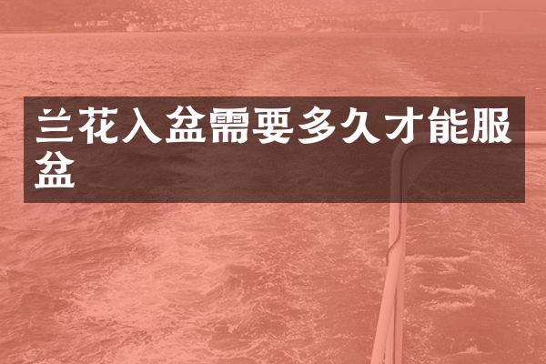 兰花入盆需要多久才能服盆
