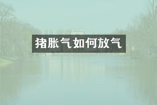 猪胀气如何放气