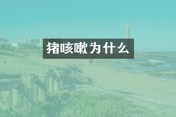 猪咳嗽为什么