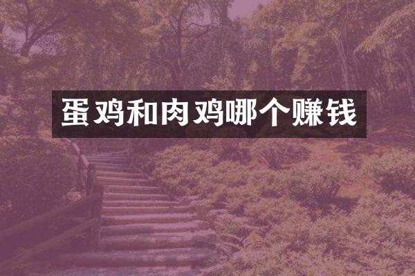 蛋鸡和肉鸡哪个赚钱