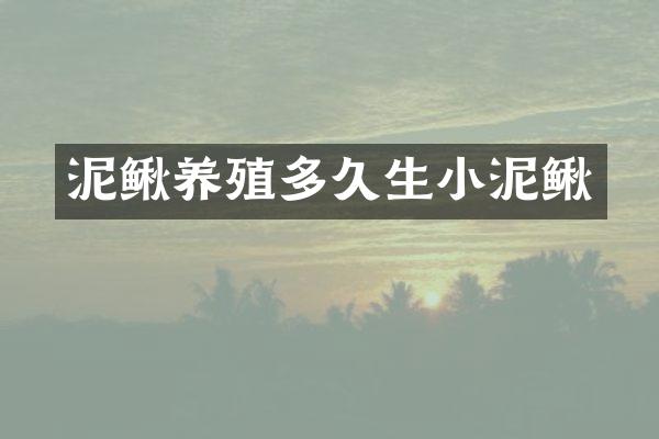 泥鳅养殖多久生小泥鳅