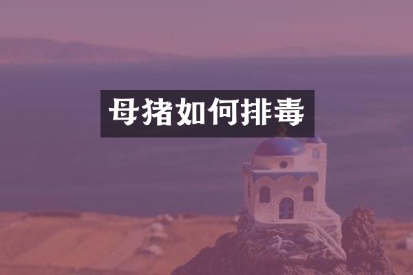母猪如何排毒