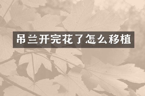 吊兰开完花了怎么移植