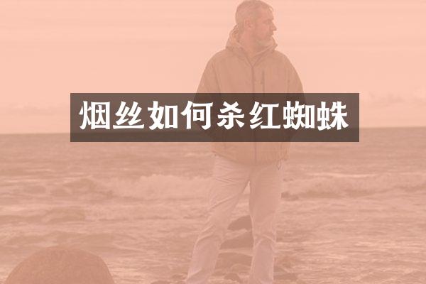 烟丝如何杀红蜘蛛