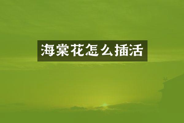 海棠花怎么插活
