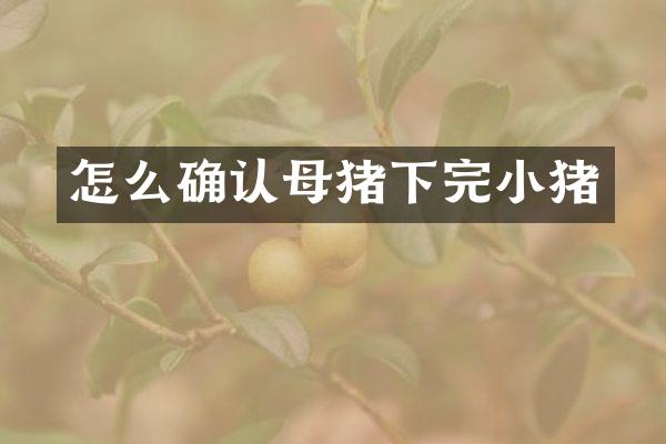 怎么确认母猪下完小猪