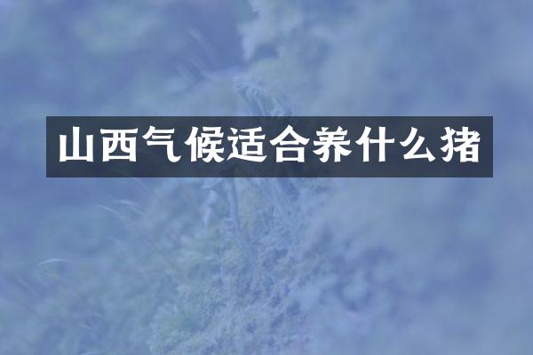 山西气候适合养什么猪
