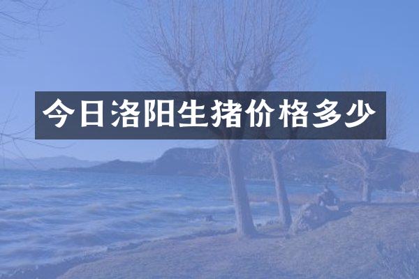 今日洛阳生猪价格多少