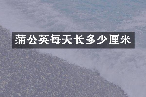 蒲公英每天长多少厘米
