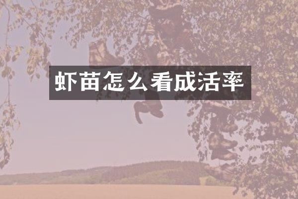 虾苗怎么看成活率