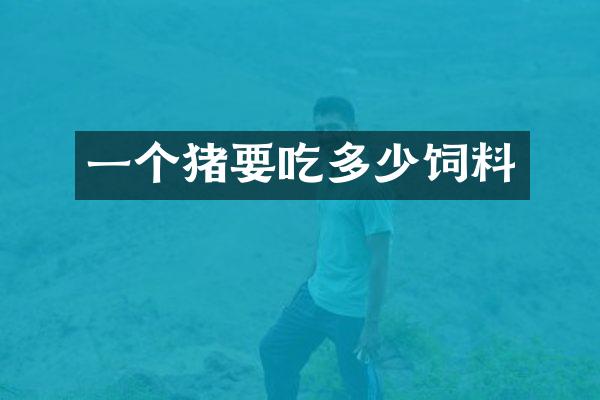 一个猪要吃多少饲料