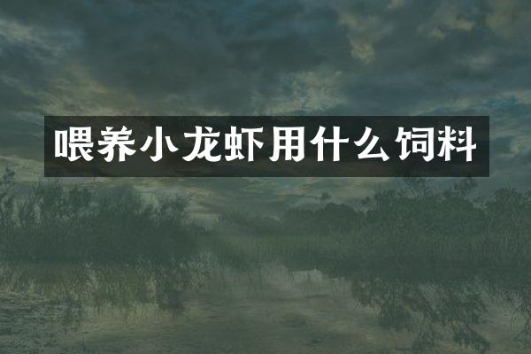 喂养小龙虾用什么饲料