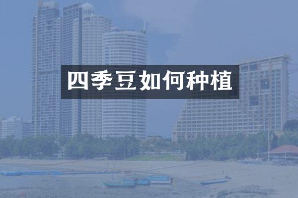 四季豆如何种植