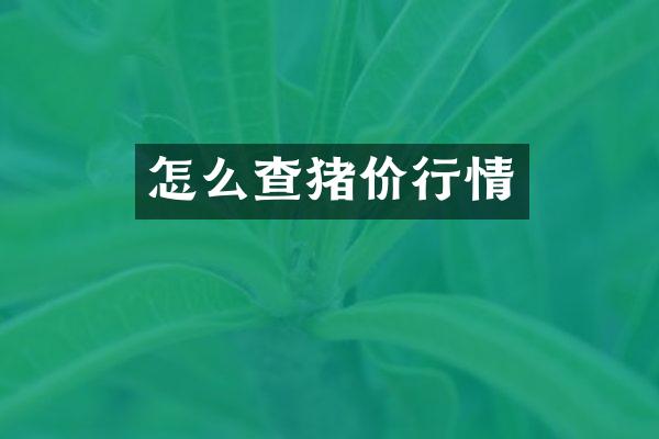 怎么查猪价行情