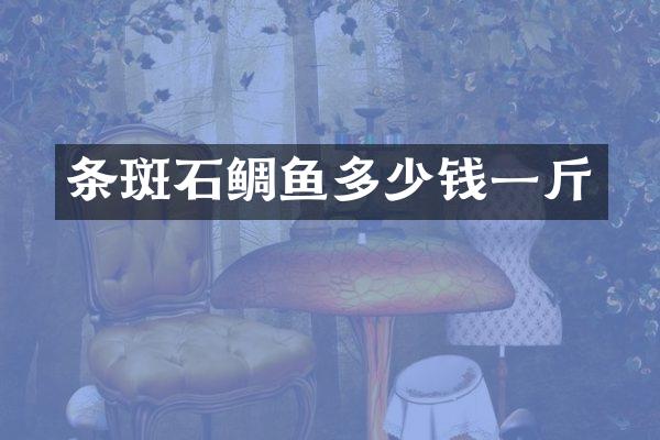 条斑石鲷鱼多少钱一斤