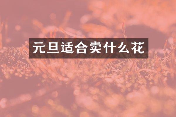 元旦适合卖什么花