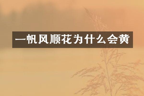 一帆风顺花为什么会黄