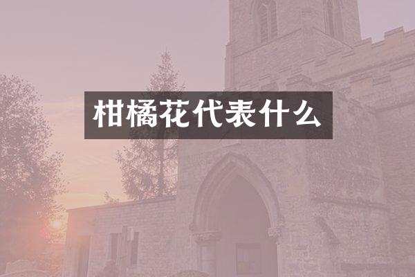 柑橘花代表什么