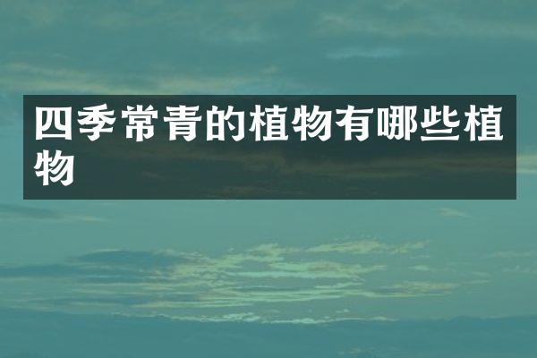 四季常青的植物有哪些植物