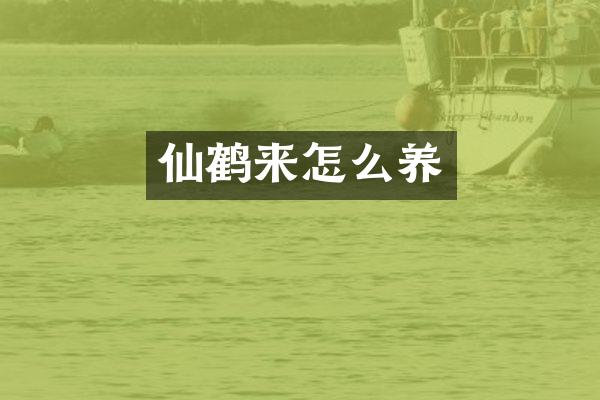 仙鹤来怎么养