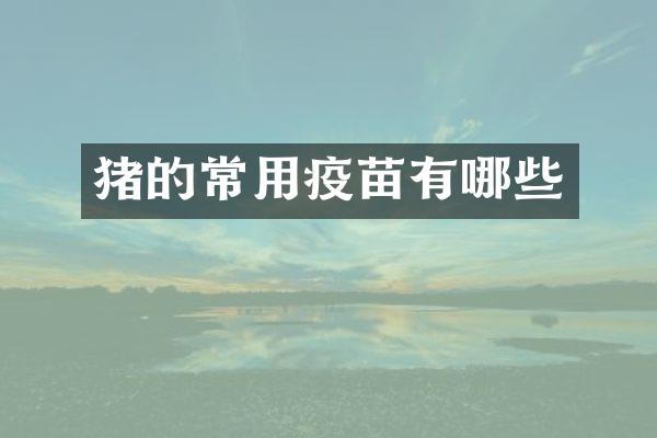 猪的常用疫苗有哪些