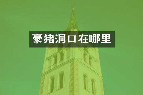 豪猪洞口在哪里