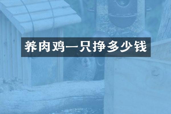 养肉鸡一只挣多少钱
