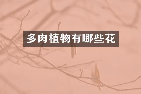 多肉植物有哪些花