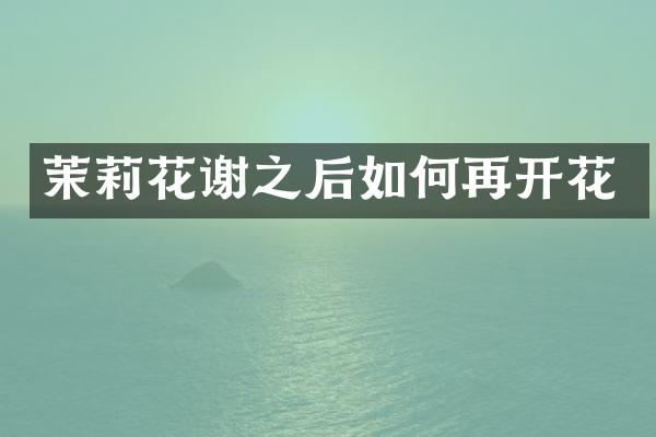 茉莉花谢之后如何再开花