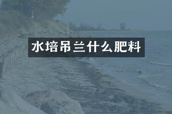 水培吊兰什么肥料
