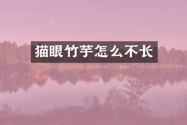 猫眼竹芋怎么不长