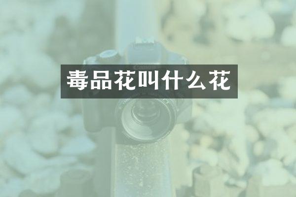 毒品花叫什么花