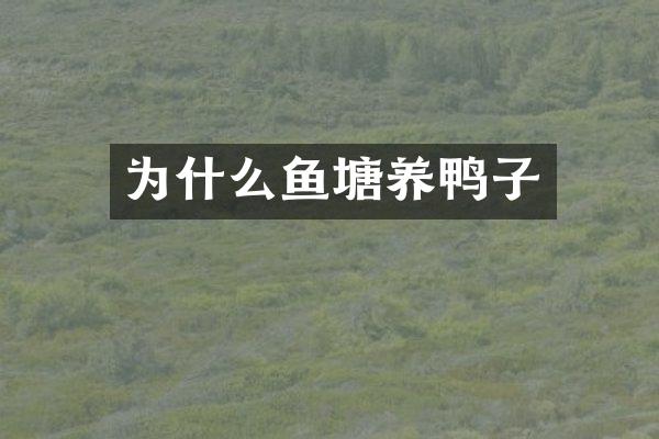 为什么鱼塘养鸭子
