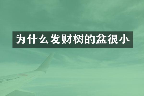 为什么发财树的盆很小