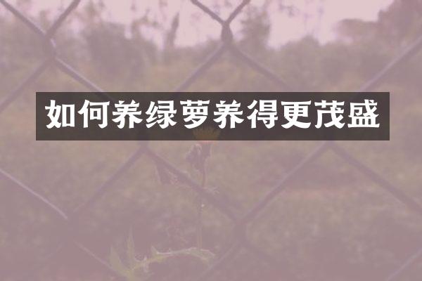 如何养绿萝养得更茂盛